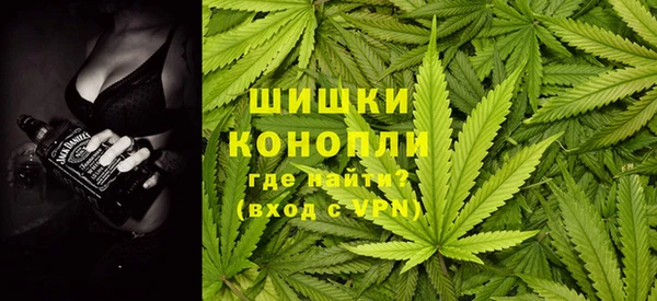твердый Арсеньев
