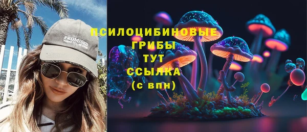 apvp Аркадак