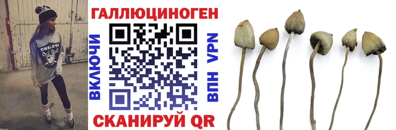 Галлюциногенные грибы Psilocybine cubensis  где купить наркотик  блэк спрут онион  Олонец 