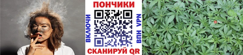 Шишки марихуана Amnesia  OMG зеркало  Олонец  что такое  